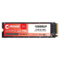 Pegasus 1TB PCIe Gen4 x4 NVMe M.2 (2280) - Byte Store