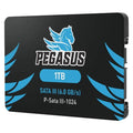 Pegasus 1TB SATA III SSD (2.5")