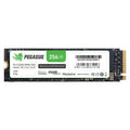 Pegasus 256GB PCIe Gen3 x4 NVMe M.2 (2280) - Byte Store