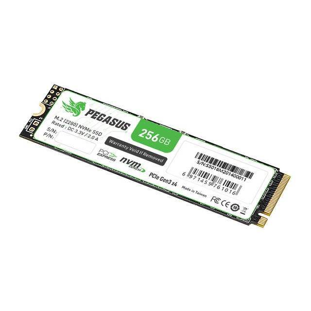 Pegasus 256GB PCIe Gen3 x4 NVMe M.2 (2280) - Byte Store