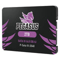 Pegasus 2TB SATA III SSD (2.5")